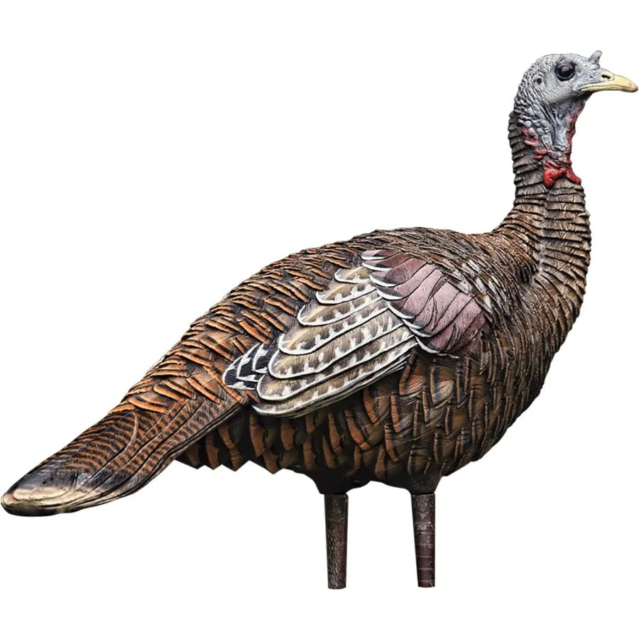 Hen Turkey Decoy  Standing Hunting Decoy with Carry Bag and Stake